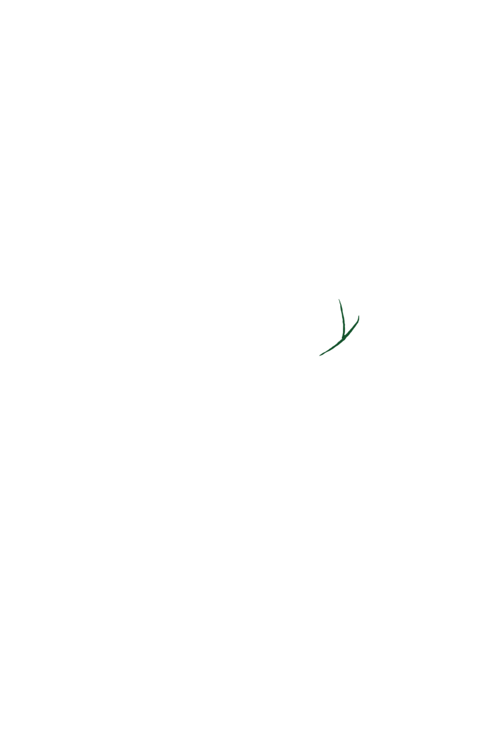 カラーコーディネートのパーツ画像