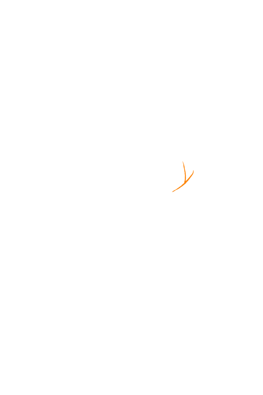 カラーコーディネートのパーツ画像