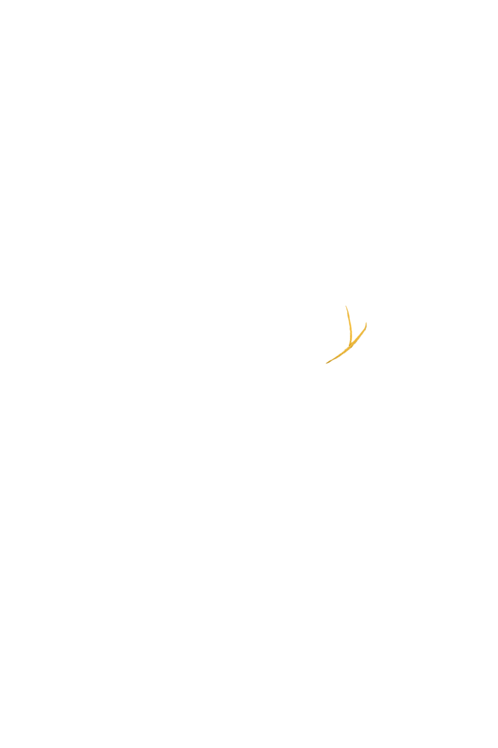 カラーコーディネートのパーツ画像