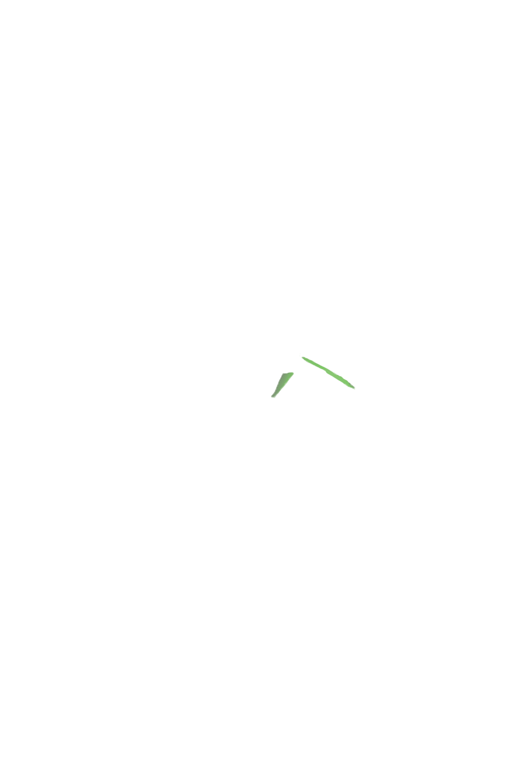 カラーコーディネートのパーツ画像