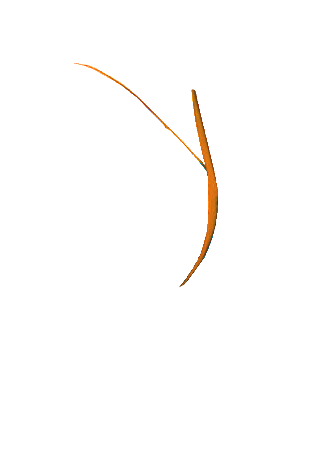 カラーコーディネートのパーツ画像