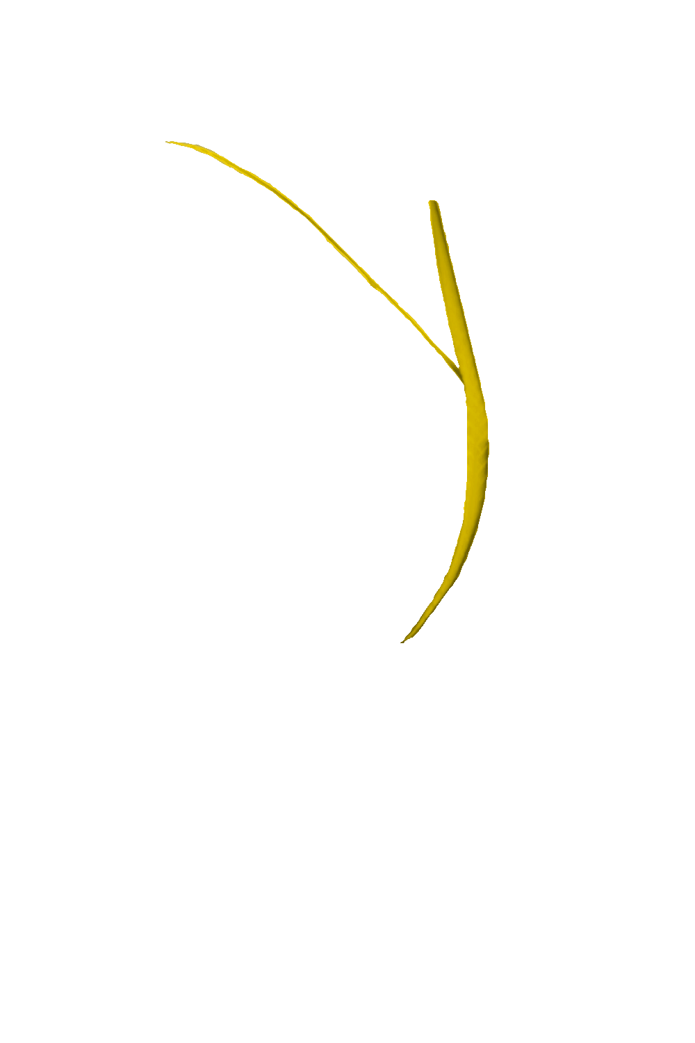 カラーコーディネートのパーツ画像
