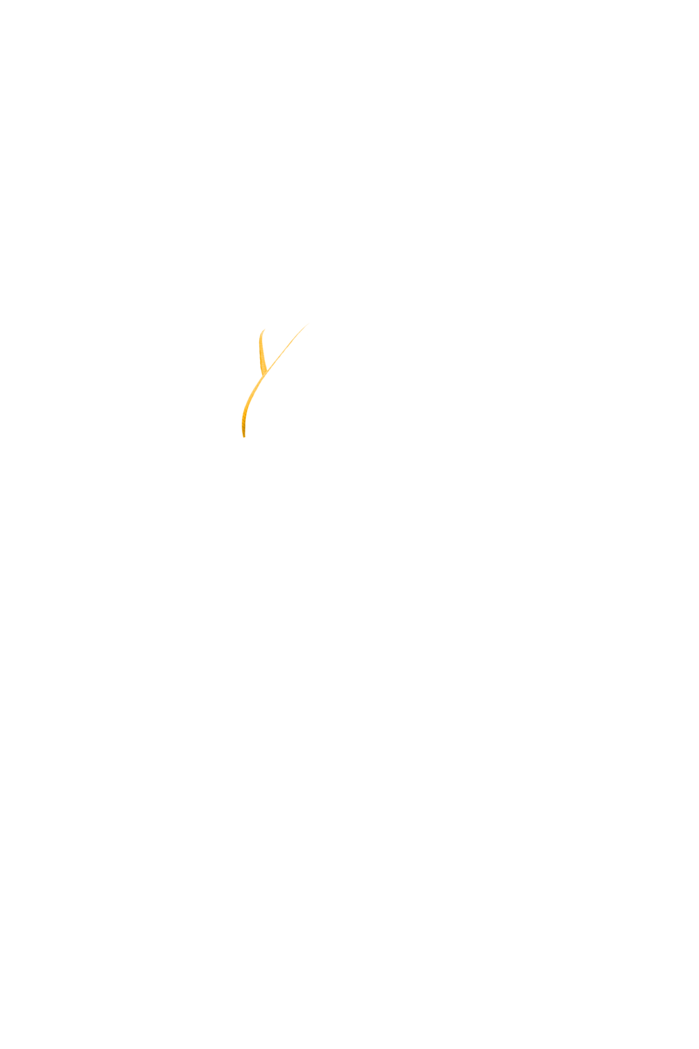 カラーコーディネートのパーツ画像