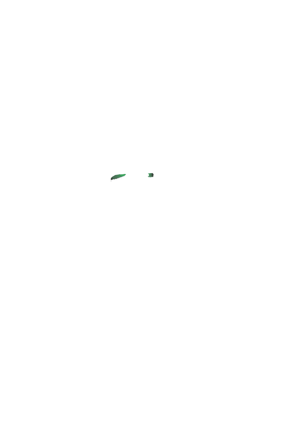カラーコーディネートのパーツ画像