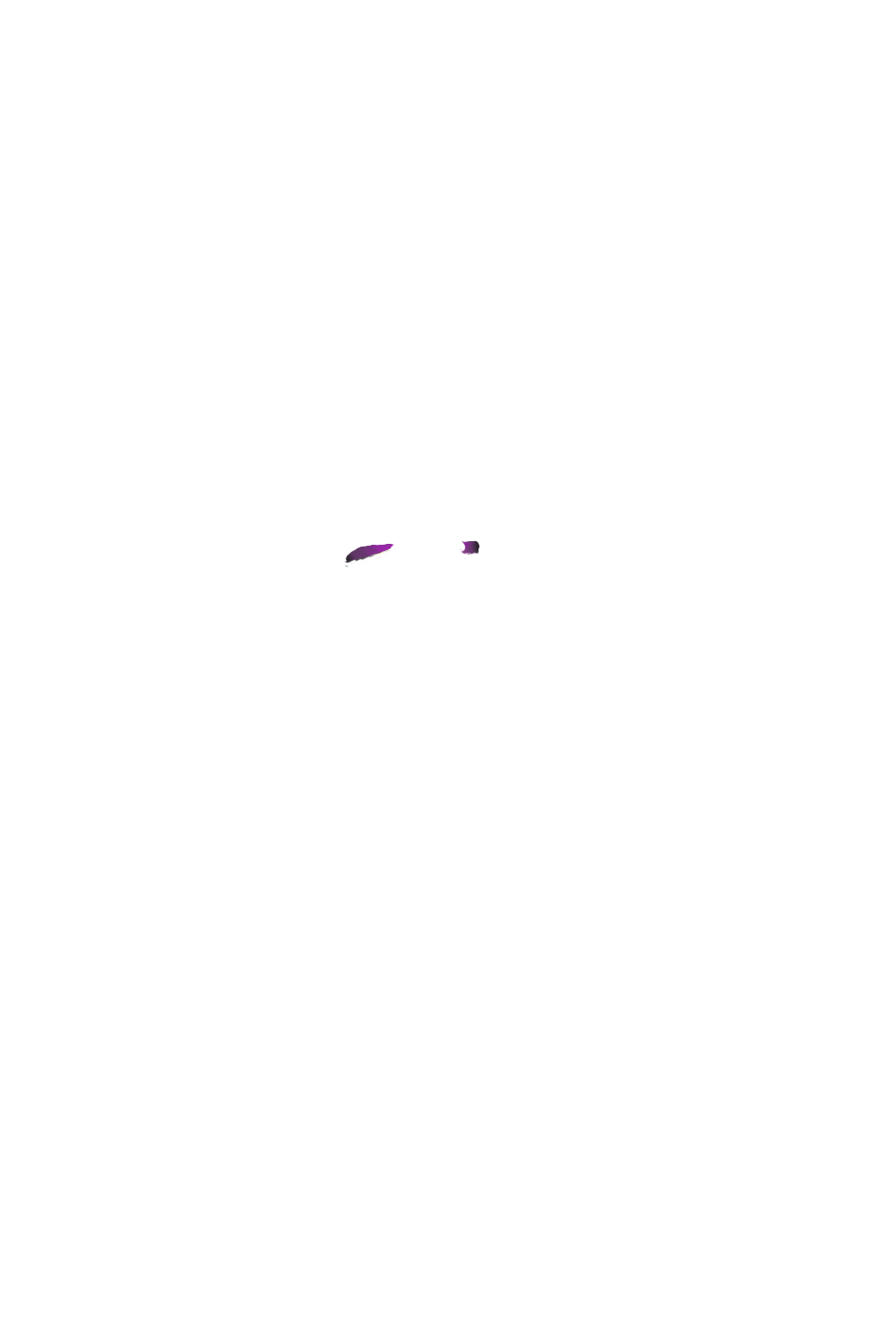 カラーコーディネートのパーツ画像