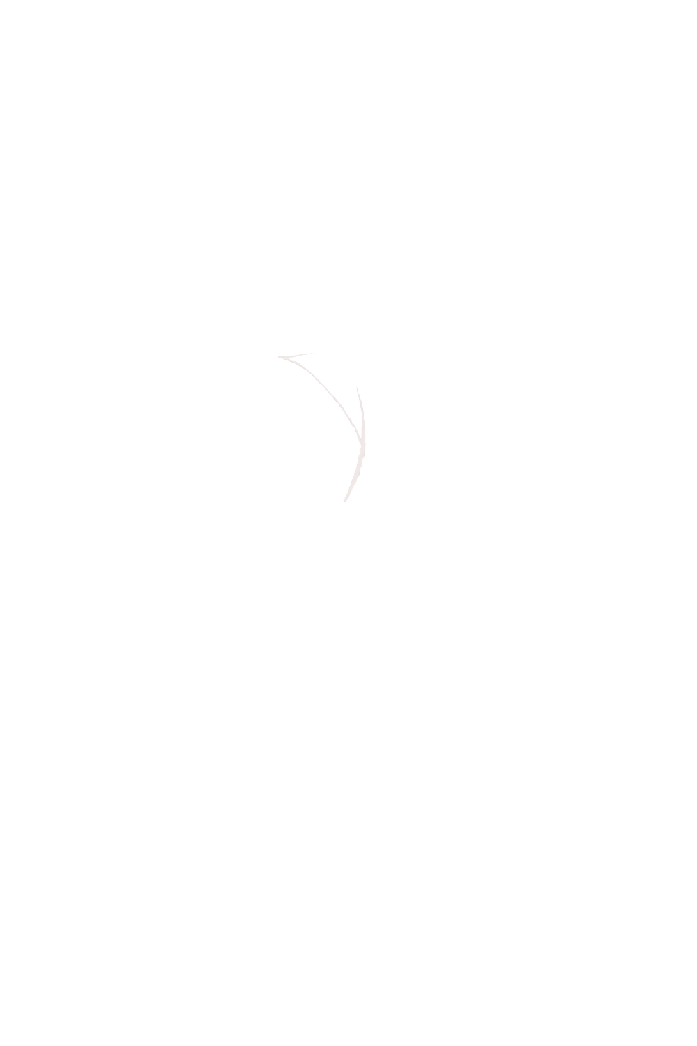 カラーコーディネートのパーツ画像