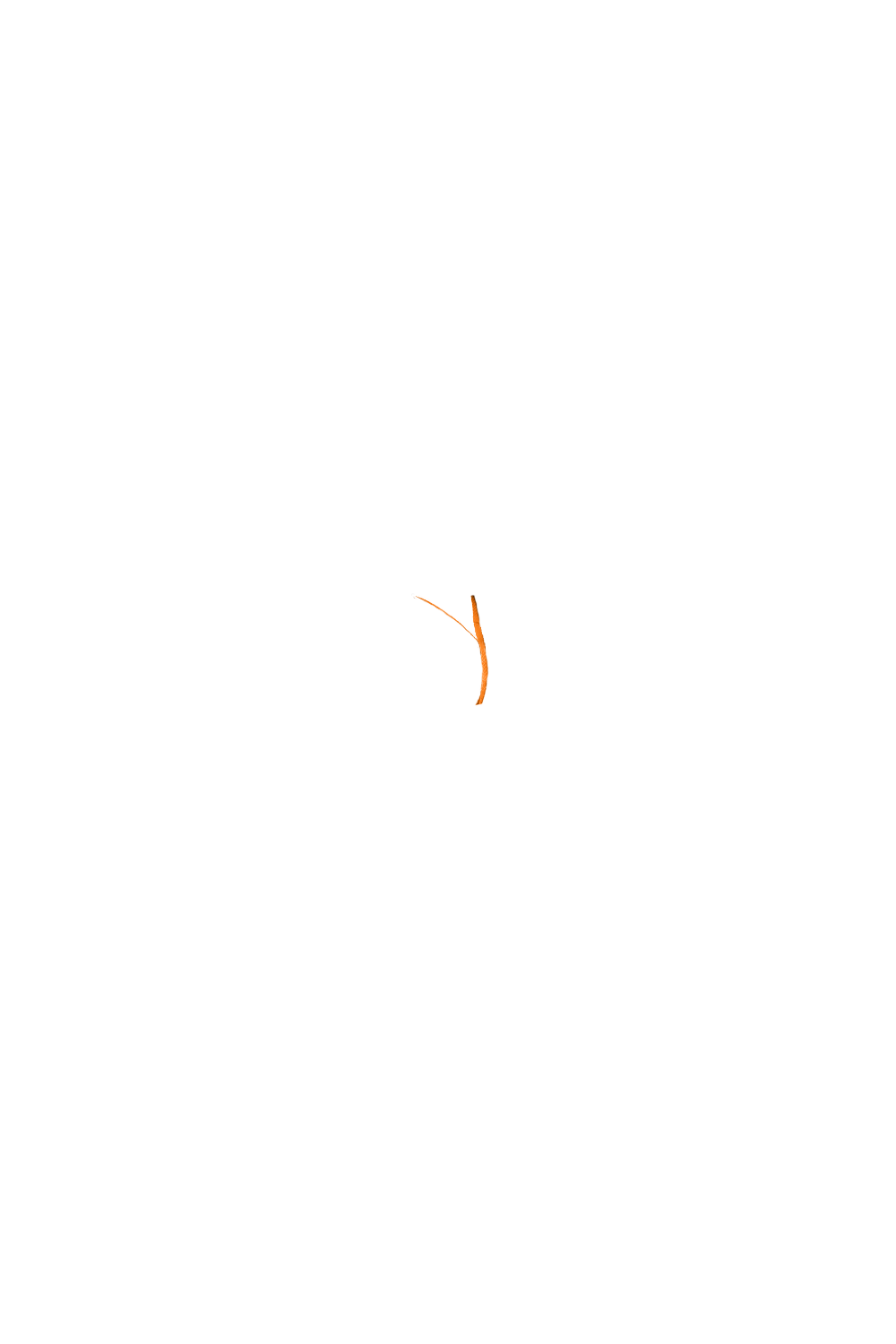 カラーコーディネートのパーツ画像