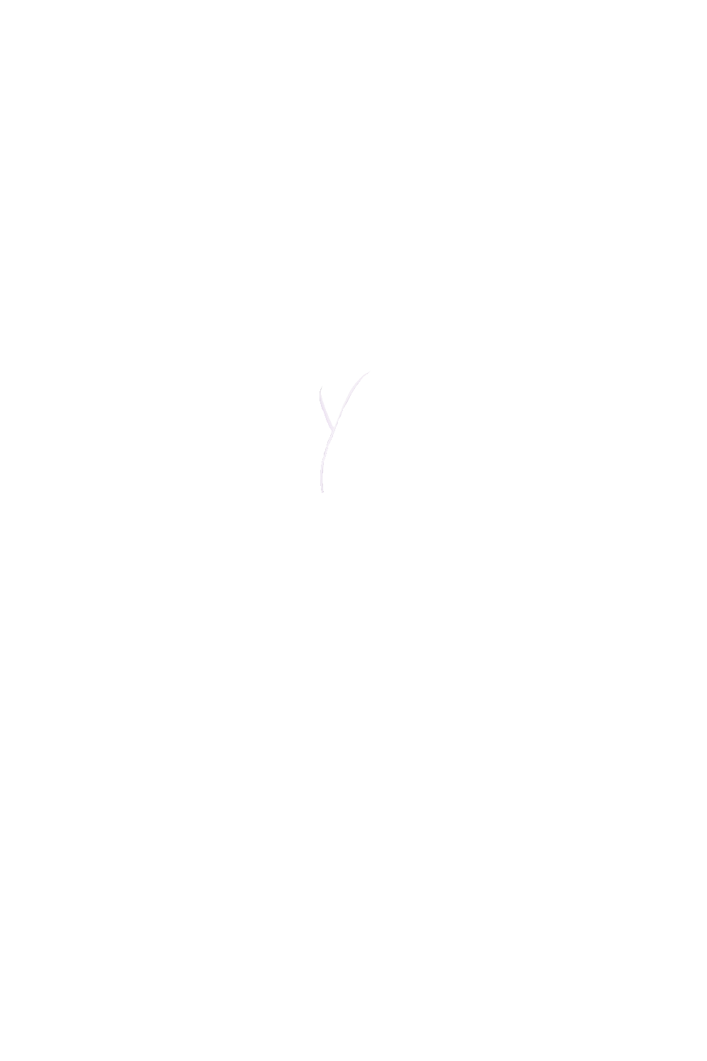 カラーコーディネートのパーツ画像