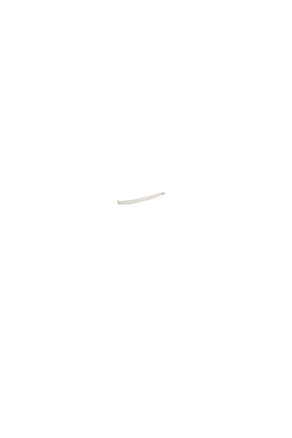 カラーコーディネートのパーツ画像
