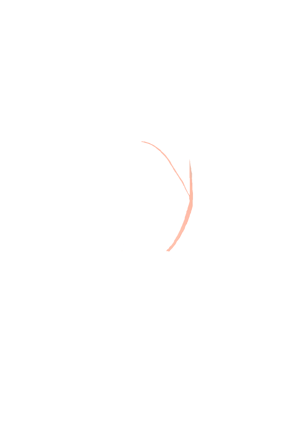 カラーコーディネートのパーツ画像