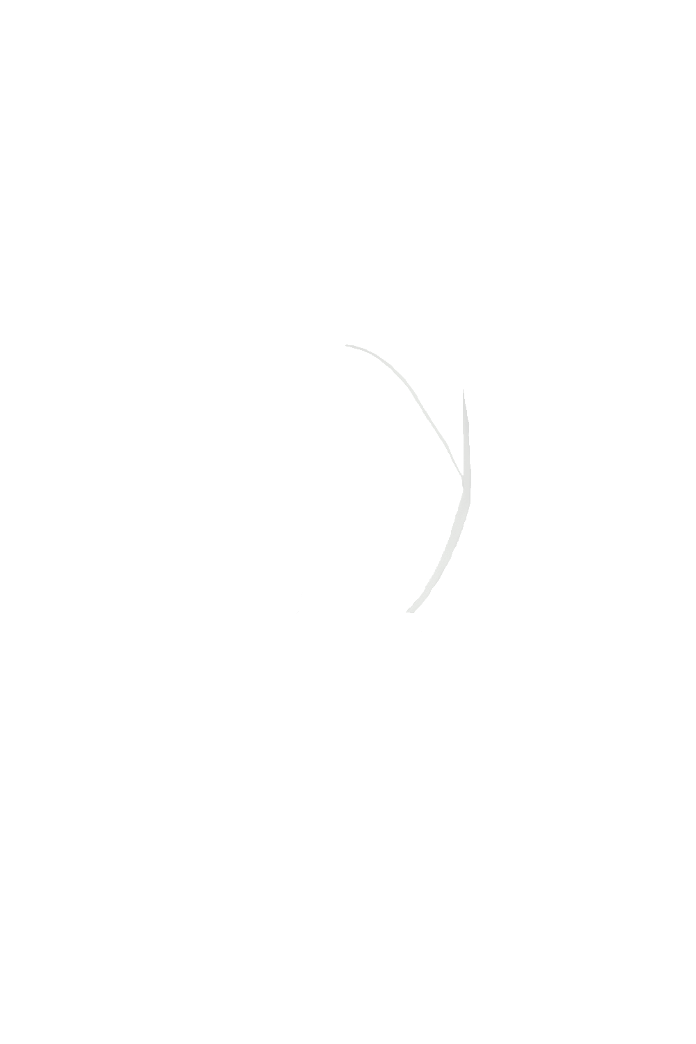 カラーコーディネートのパーツ画像